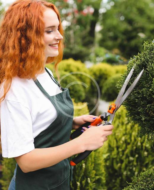 post-image1-copyright post-image1-copyright